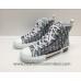 DIOR Converse